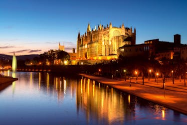 Palma by Night with Optional Guided Tour or Dinner